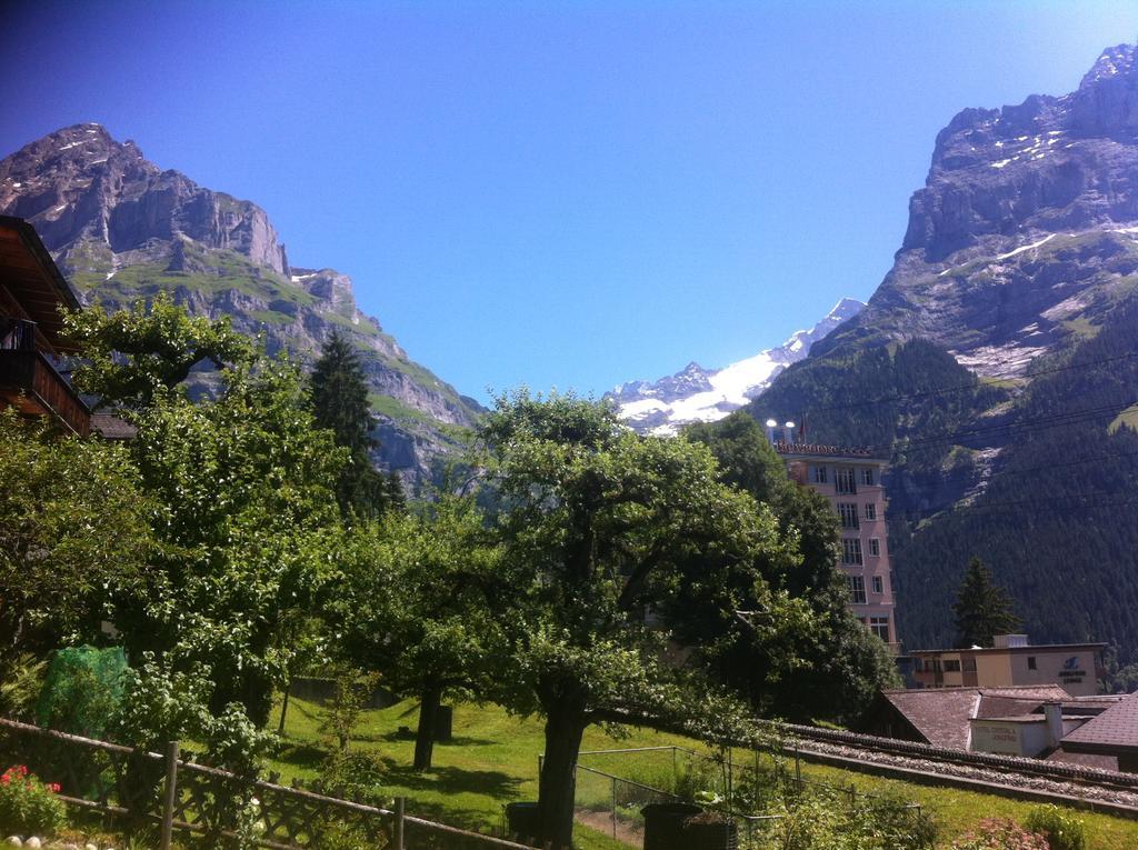 "Studio Edelweiss" Spillstatthus Grindelwald Exteriér fotografie